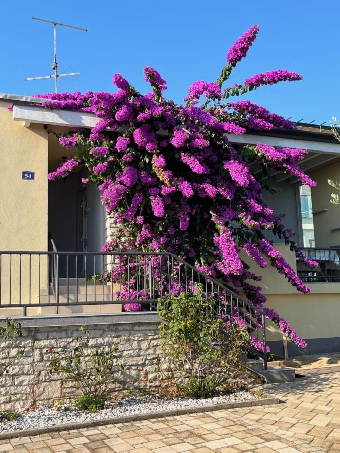 Ferienwohnung App Forza Umag Exterior foto