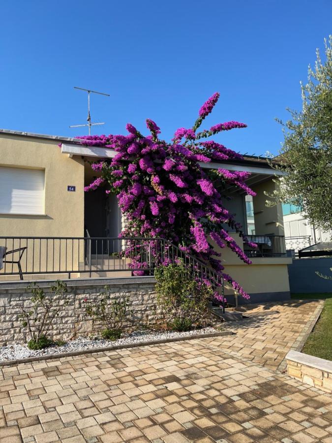 Ferienwohnung App Forza Umag Exterior foto